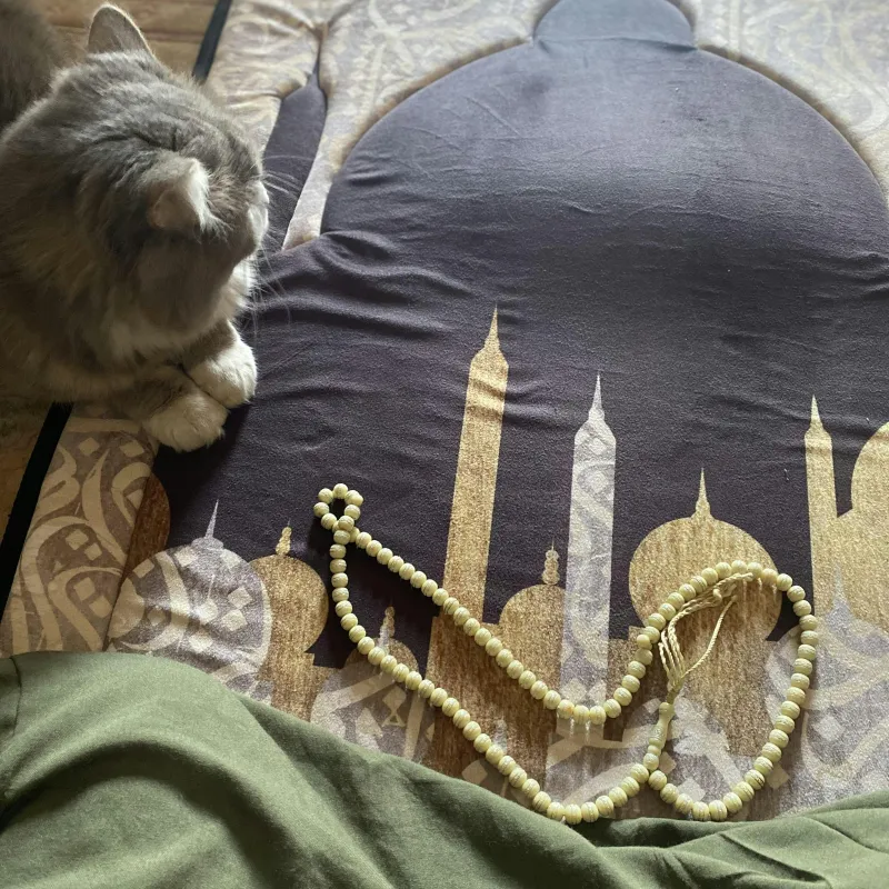 مصلية مبطنة مانعة للانزلاق كبيرة
